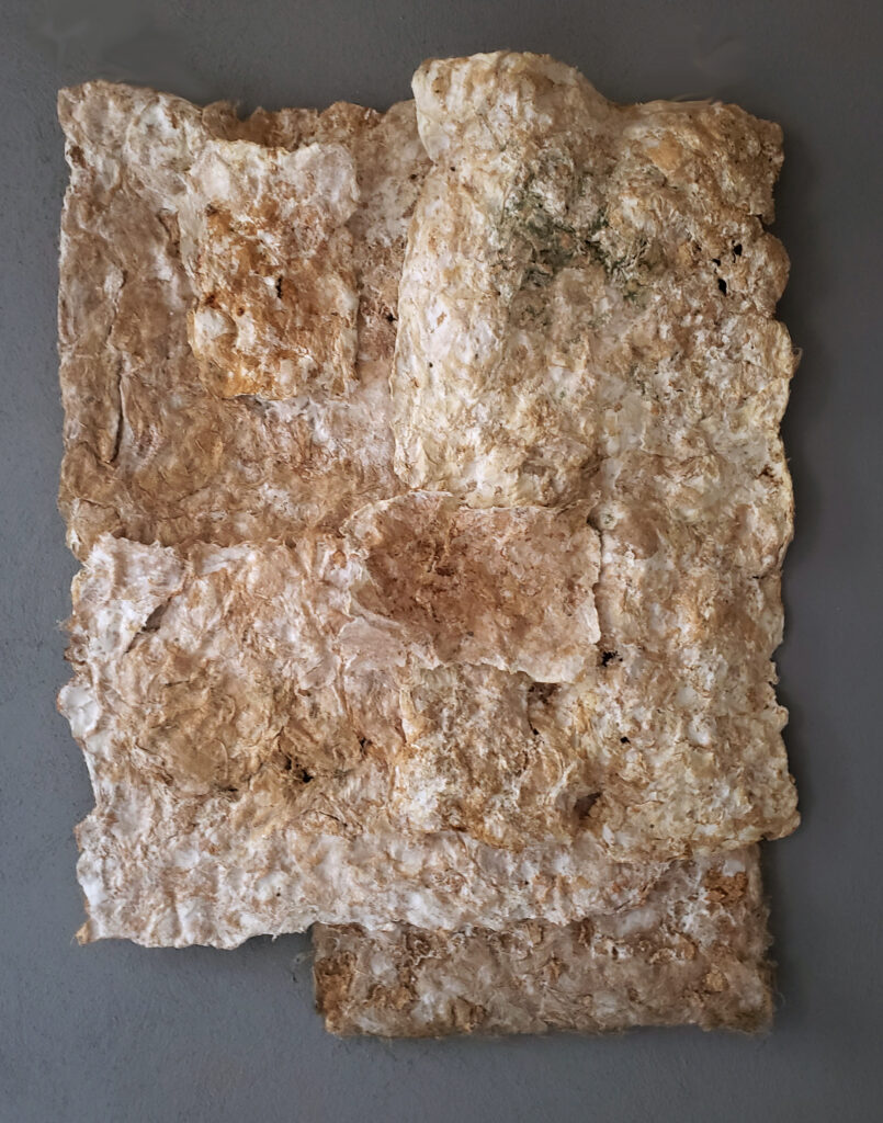 Pilzmyzel-Collage, Austern-Seitling (Pleurotus ostreatus)
auf Hanfsubstrat kultiviert, getrocknet
75 x 100 cm