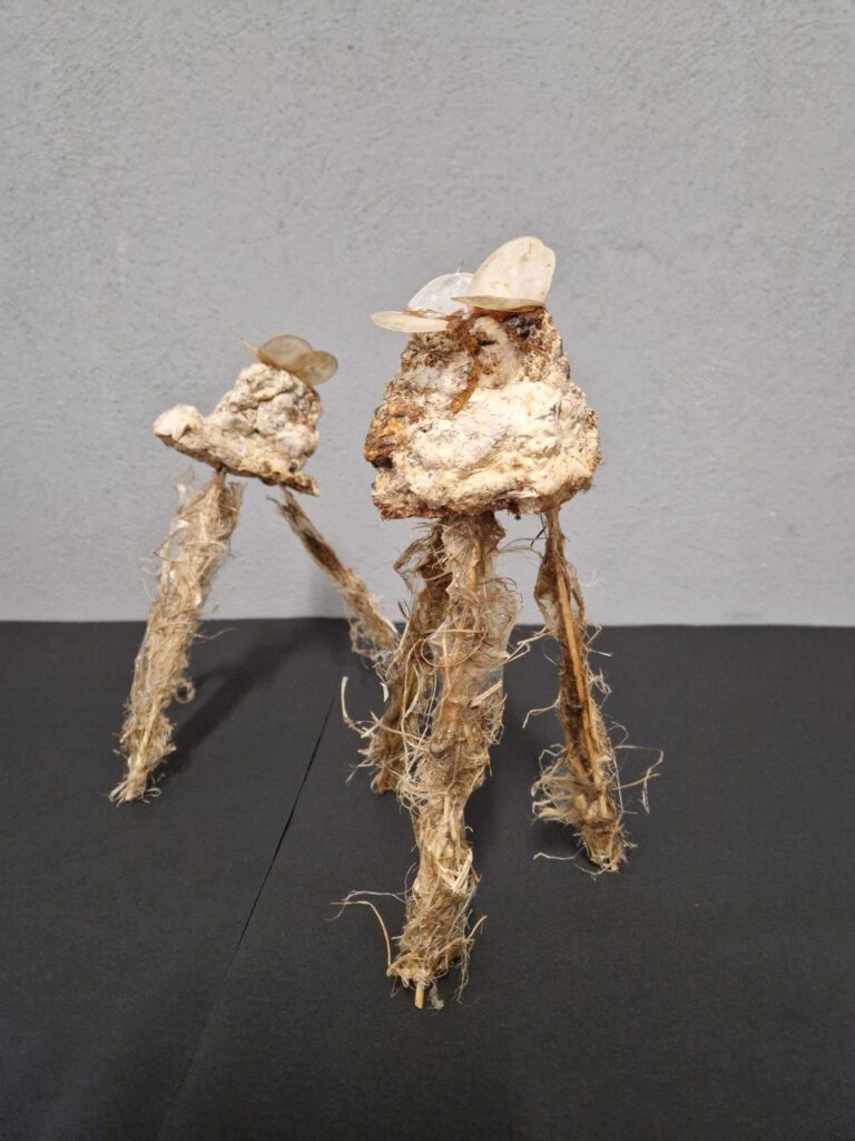 “Sondierer I / Sondierer II”
Myzel, Hanffasern, Lunaria, AgarAgar, 2026